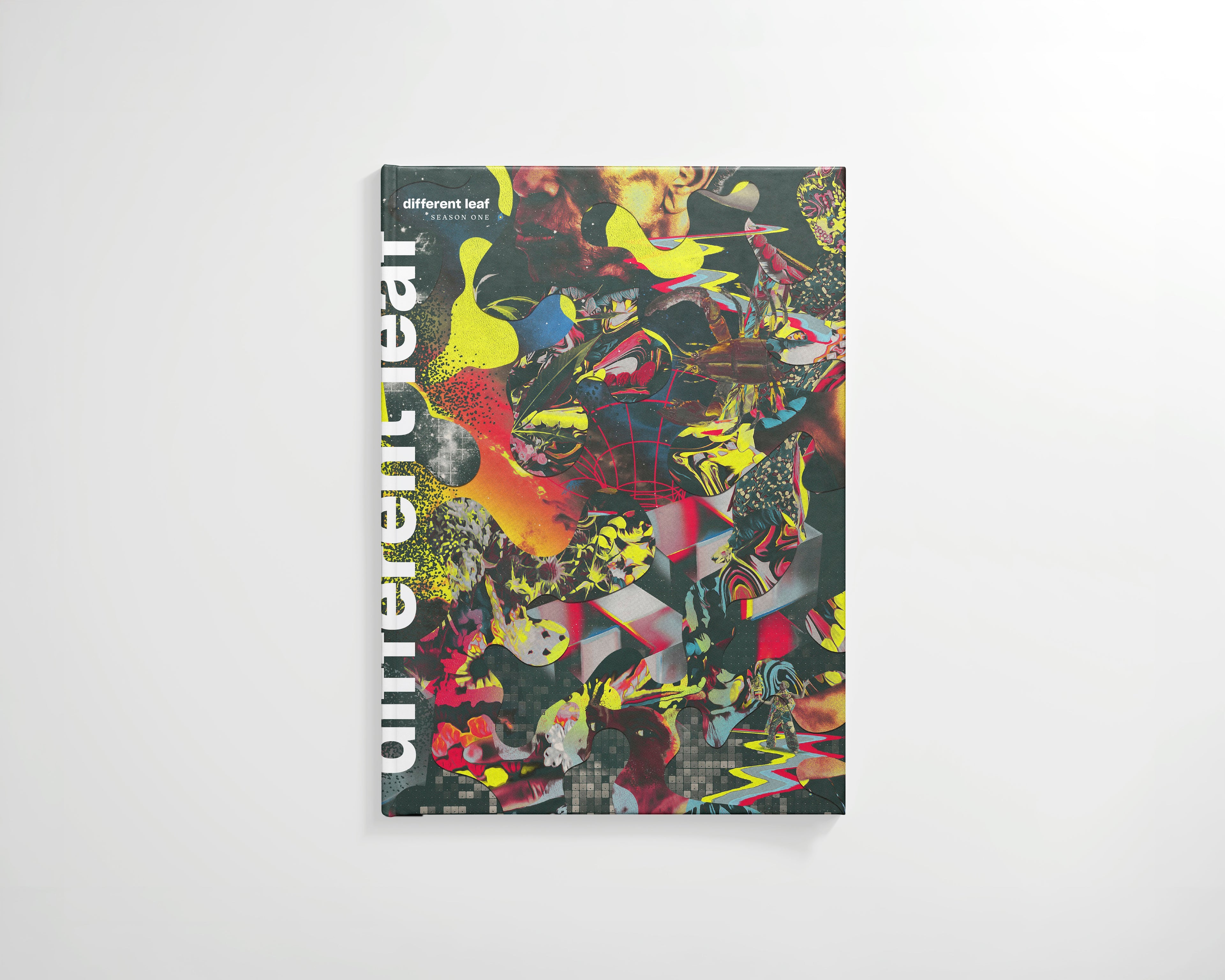 Different Leaf Season One hardcover book with vibrant abstract collage cover and vertical title on spine.
