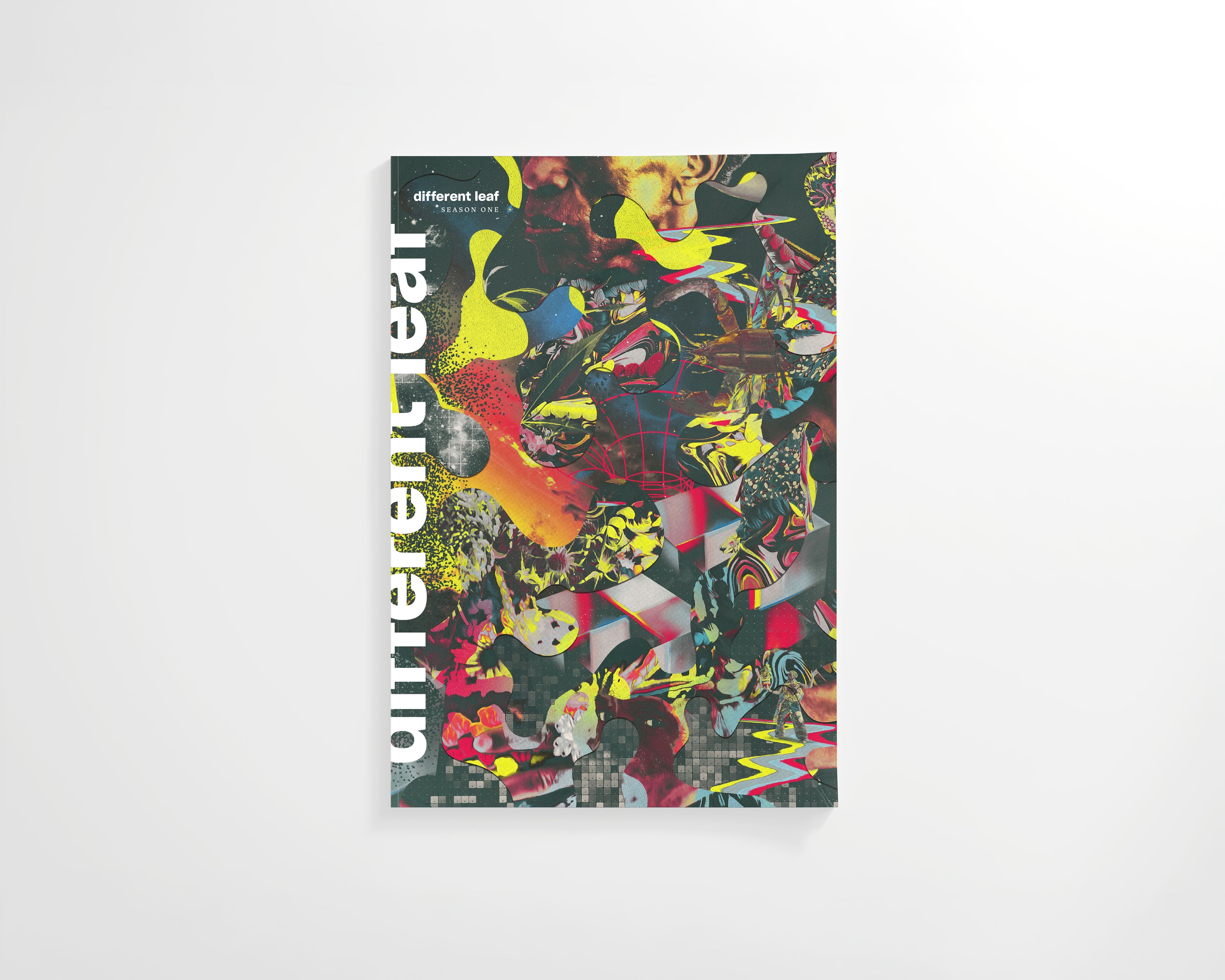 Different Leaf Season One softcover book with vibrant abstract collage cover and vertical title on spine