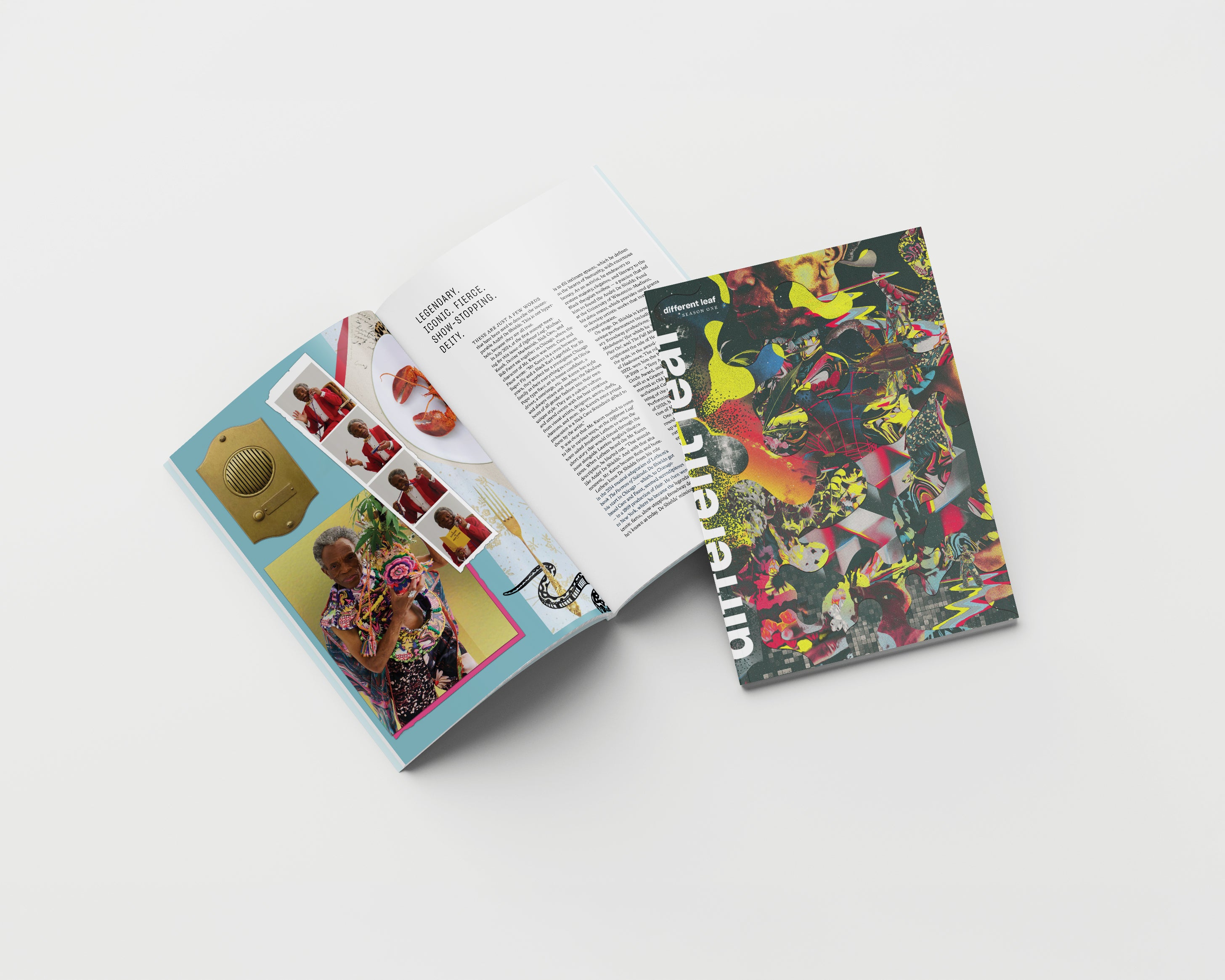 Open Different Leaf Season One hardcover showing colorful collage cover and interior editorial spreads