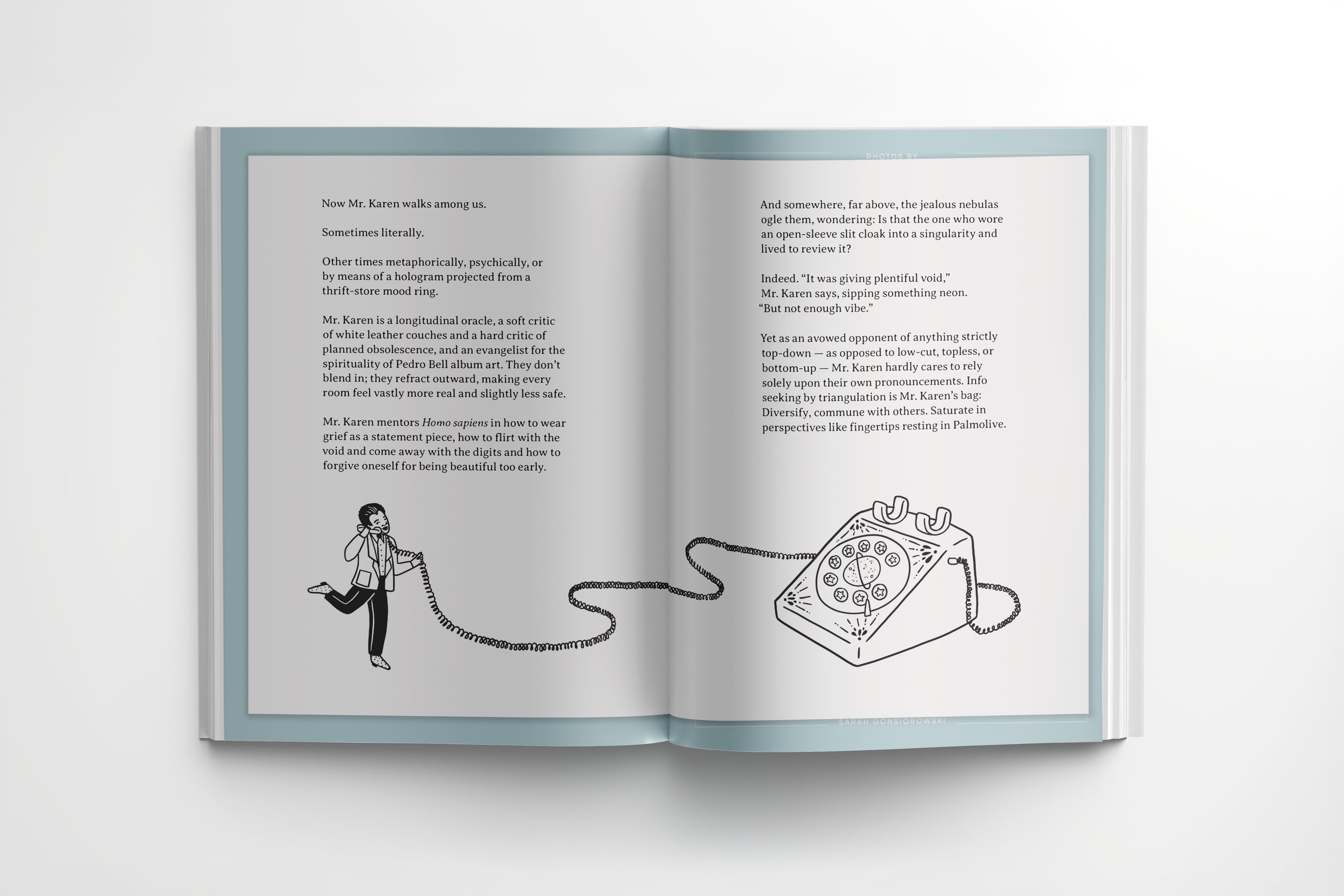 Different Leaf Season One insert with text and illustrations on a white background